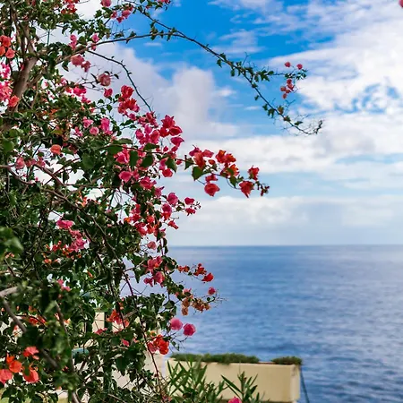 Gorgeous In * 卡亚俄萨尔瓦赫