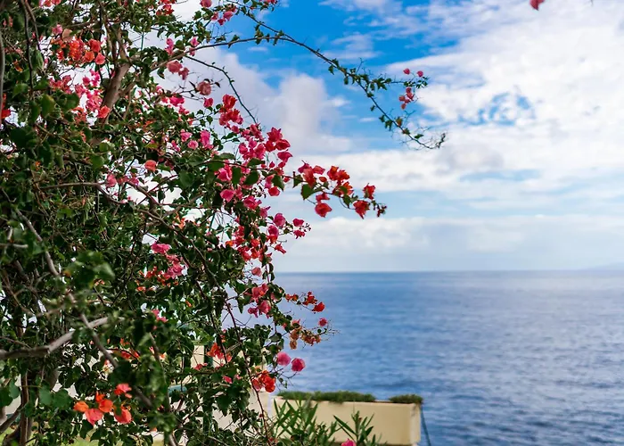 Gorgeous In * 卡亚俄萨尔瓦赫